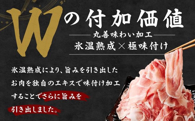 mrzZ064 【定期便】国産 豚肉 切り落とし 2kg×全2回【氷温熟成×極味付け 500g×4P ぶたにく 普段使い 野菜炒め 訳あり サイズ不揃い 2026年1月＆4月発送】