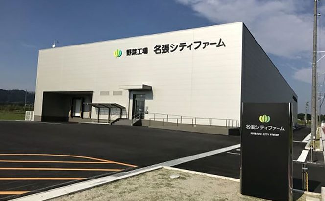 なばリーフ フリルレタス パック 8p入/ 水耕栽培 時短 野菜 レタス 特殊フィルム包装 新鮮 洗わずに食べられる 無洗 サラダ お鍋 スープ ラーメン サンドウィッチ 手軽 安全 安心 栄養 健康