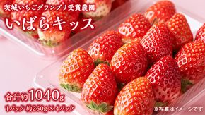 【 茨城いちごグランプリ 受賞 農園 】 完熟 いばらキッス 4パック 茨城県オリジナル品種 イチゴ 苺 フルーツ 果物 果実 [DY003ci]