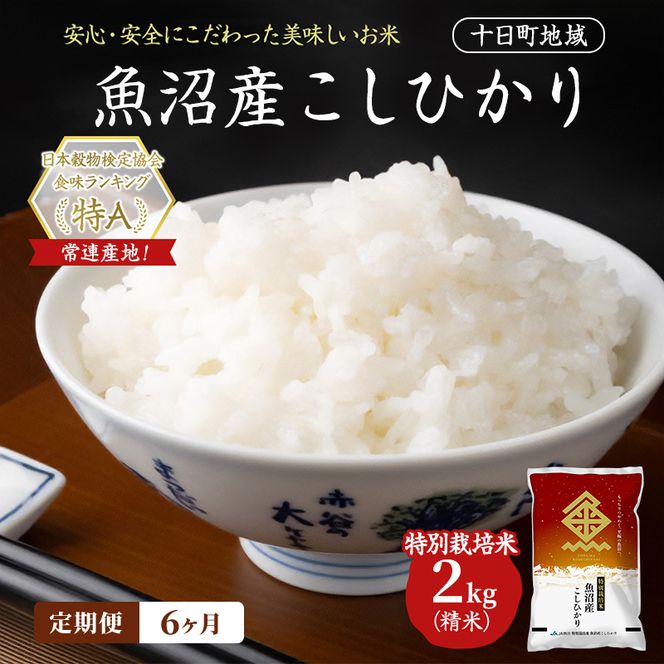【6ヶ月定期便】特別栽培米 魚沼産こしひかり(十日町地域) 精米 2kg 米 お米 コシヒカリ 定期 十日町市