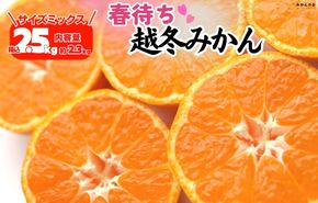 みかん 春待ち 越冬みかん 箱込2.5kg(内容量2.3kg) 等級／サイズミックス 和歌山県産 産地直送 AX430