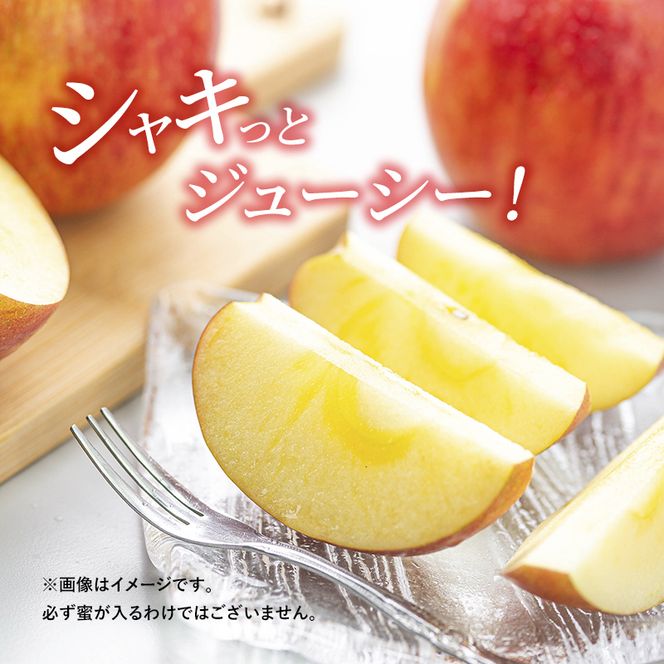 【2026年発送】志賀高原の麓で育った サンふじ （家庭用）約10kg りんご 10kg フルーツ 果物 デザート 長野