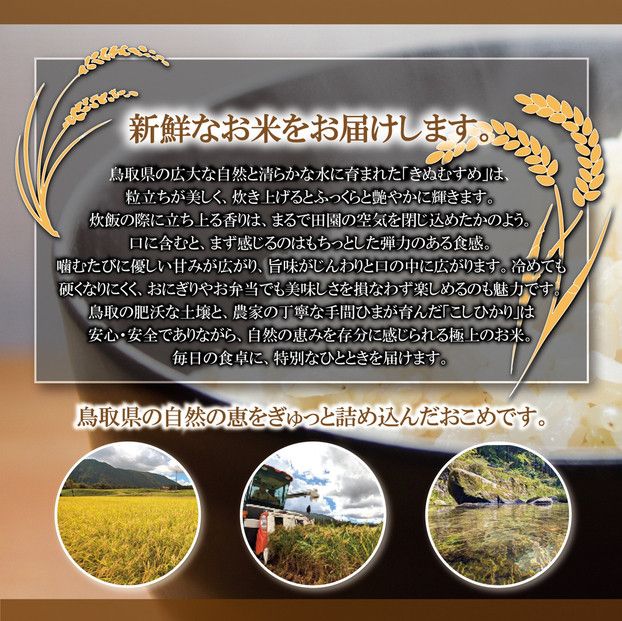 1103.令和7年産　原田農園きぬむすめ玄米 5kg 313726_CG003