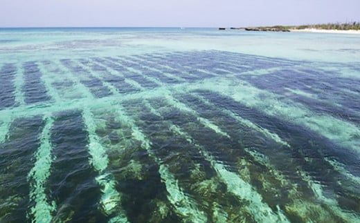 早摘みもずく（15袋）＆もずく餃子（12個入×14袋）セット【勝連漁業協同組合】