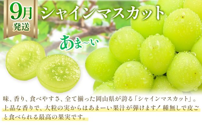 【2026年発送先行予約】ぶどう 3ヶ月 定期便 岡山 の ぶどう 3種 食べ比べ 各700g 計2.1kg 晴れの国おかやま館(漂流岡山)《2026年8月中旬-10月中旬頃出荷》岡山県 笠岡市 桃太郎ぶどう シャインマスカット ピオーネ 果物 フルーツ 送料無料【配送不可地域あり】（離島）---H-50---