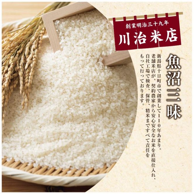 令和7年産 魚沼産 コシヒカリ 10kg 米 こしひかり お米 コメ 新潟 魚沼 魚沼産 白米 送料無料 新潟県産 精米 産直 産地直送 契約農家 お取り寄せ 魚沼三昧 川治米店 新潟県 十日町市 もちもち 甘み 