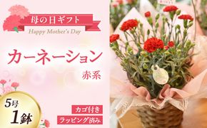 【母の日ギフト・先行予約受付】カーネーション（赤系5号鉢）母の日 カーネーション バスケット ラッピング ギフト仕様 ギフト 宮崎県 小林市