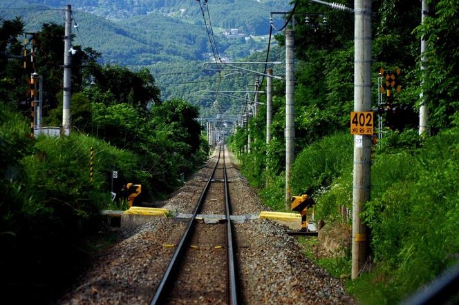 デジタル一眼カメラα[Eマウント]用レンズ　E PZ 18-105mm F4 G OSS | ソニー カメラ レンズ Gレンズ 一眼 交換レンズ 広角 望遠