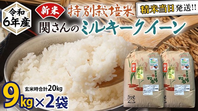 《 特別栽培米 》令和6年産 精米日出荷 関さんの「 ミルキークイーン 」 9kg × 2袋 ( 玄米時 20kg ) 新鮮 精米 米 こめ コメ 特別栽培農産物 認定米 新米 [AM090us]