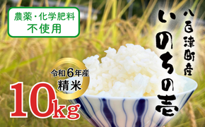 432. 【令和6年産】農薬・化学肥料不使用　オータニ農業の『いのちの壱』精米10kg【10月下旬発送開始】