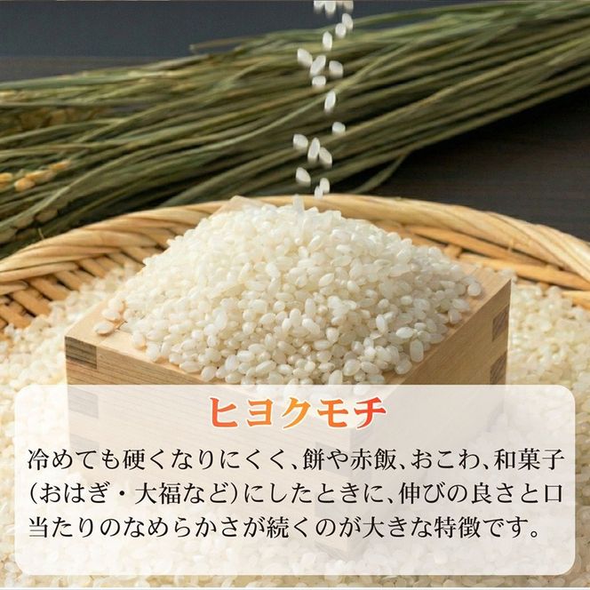 米 もち米 2kg 新米 ヒヨクモチ 令和7年度産 餅 おもち 赤飯 おこわ おはぎ ぼたもち 大福 静岡県 藤枝市産 静岡のお米 精米 産地直送 静岡県 藤枝市