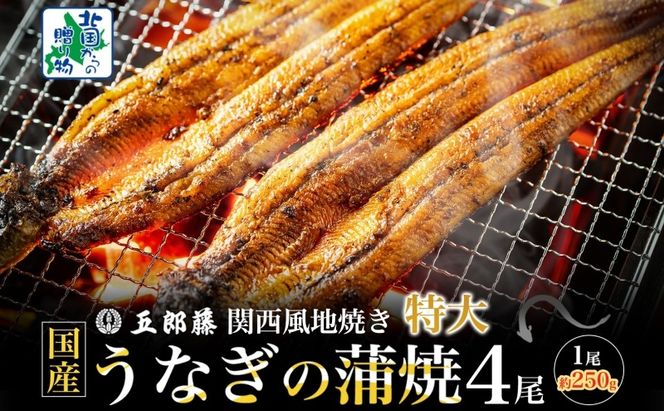 099H4344 国産有頭旨鰻 250g×4尾 特大サイズ【関西風地焼き 老舗 五郎藤 うなぎ 1kg 小分け unagi ひつまぶし 簡単調理】