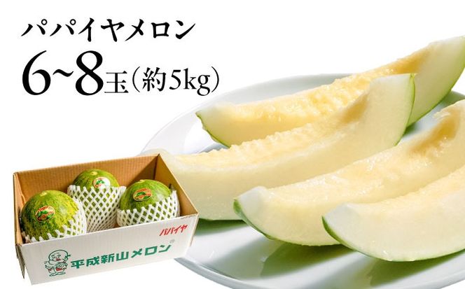 【4回定期便】【2026年3月中旬〜発送】＜メロン食べ比べ＞平成新山メロンPREMIUM（とみちゃん厳選）パパイヤ しらかば グリーン アールス / メロン めろん 果物 フルーツ 青肉 / 南島原市 / うえだメロン園[SAD012]