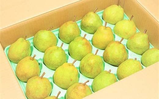 FYN6-057 ≪2025年先行予約≫ご家庭用 山形県産 西洋梨 ラ・フランス 約5kg (12～20玉) 2025年11月上旬から順次発送 洋梨 洋なし ラフランス 秋果実 果物 くだもの フルーツ 訳あり 家庭用 自宅用 産地直送 山形県 西川町 月山