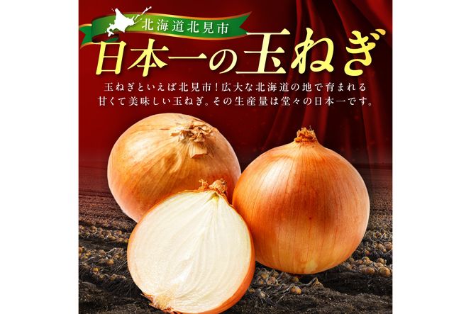 北見市産玉ねぎ使用 味付け薄切り牛タン シャリアピンソース 300g×5個 ( 肉 牛肉 たまねぎ タマネギ 焼肉 )【224-0027】