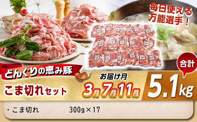 「どんぐりの恵み豚」エンジョイ定期便(10ヶ月)_T80(10)-1102_(都城市) スライスセット 焼肉 スペアリブ こま切れ しゃぶしゃぶセット ブランド豚 10ヶ月 毎月お届け 毎日のお料理に 都城市 豚肉 ロース バラ モモ ウデ スライス スペアリブ 切り落とし ステーキ しゃぶしゃぶ