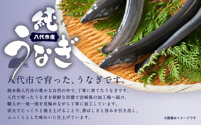 【先行予約】 うなぎ蒲焼3尾セット（200g×3尾）合計600g　たれ・山椒付き  鰻 うなぎ ウナギ 国産 冷凍 うな重 蒲焼 丑の日 鰻楽 熊本県 八代市 【2026年10月中旬より順次発送】