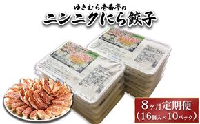 【8ヶ月定期便】ゆきむら壱番亭のニンニクにら餃子10パック(160個入り) ※離島への配送不可