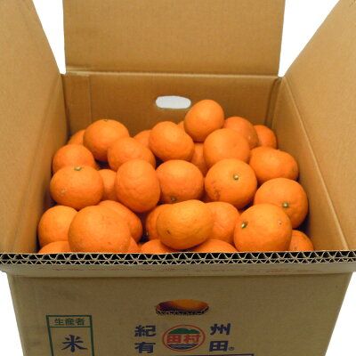 DN6015_【2026年先行予約】高級ブランド 田村みかん 秀品 10kg (S～Lサイズおまかせ） 【ミカン 蜜柑 柑橘 温州みかん 有田みかん】