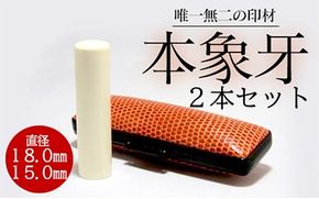 E410高級本象牙印鑑２本セット（男性向け）