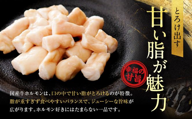 【エスイー】厳選国産牛ホルモン200g×5パック 計1kg[ 京都 食肉卸 自慢の肉質 ホルモン もつ 大容量 小分け 人気 おすすめ 肉 お肉 牛肉 もつ鍋 焼肉 お取り寄せ 通販 送料無料 ギフト ふるさと納税 ] 261009_A-WX002