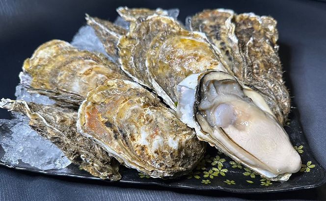 北海道 厚岸産 あさり1kg 殻付き 牡蠣 LLサイズ 20個　お歳暮 特別選別品 魚貝類 生牡蠣 海鮮 海の幸 海産物 国産あさり 生食用殻付カキ マルえもん