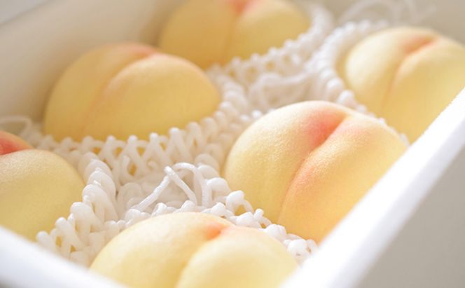 桃 2026年 先行予約 真面目な今井郁弥さん家の桃 白桃 白鳳 約1.8kg 6～8玉 フルーツ 果物 岡山 赤磐市産