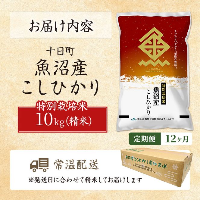 【12ヶ月定期便】特別栽培米 魚沼産こしひかり(十日町地域) 精米 10kg(5kg×2) 米 お米 コシヒカリ 定期 十日町市