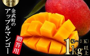 【2026年発送】金武町のアップルマンゴー◆贈答用◆1kg以上（2～3玉） アーウィン 果物 甘い 夏 濃厚 ギフト Mango ランキング 完熟 お気に入り 収穫 人気 甘味 フルーツ 沖縄県 先行予約 食品 デザート 産地直送 送料無料