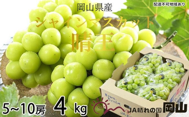 ぶどう 2026年 先行予約 シャイン マスカット 晴王 5房～10房 約4kg 7月上旬～8月中旬発送 ブドウ 葡萄 岡山県産 国産 フルーツ 果物 ギフト 種なし