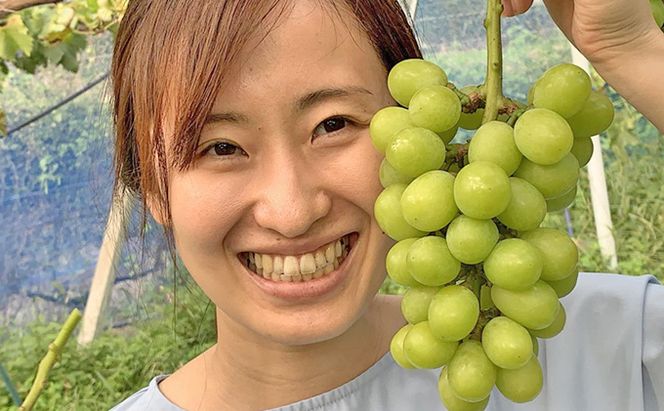 シャインマスカット 2房 合計1kg前後 葡萄 フルーツ 岡山 高梁市産 ぜきお農園 ぶどうclub 2026年 先行予約 果物類 
