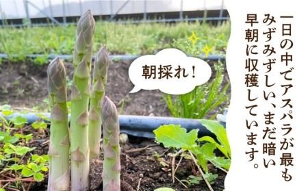【先行受付】栽培期間中農薬不使用！ 朝採れのアスパラガス 1kg 【2026年3月中旬以降順次発送】糸島市 / 髙橋農園 [ANM001] アスパラガス 1kg 野菜 やさい 期間限定 アスパラ 予約 産地直送