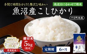 【6ヶ月定期便】魚沼産こしひかり 棚田米(十日町地域) 精米 5kg 米 お米 コシヒカリ 定期 十日町市