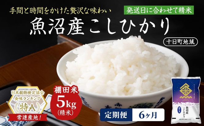 【6ヶ月定期便】魚沼産こしひかり 棚田米(十日町地域) 精米 5kg 米 お米 コシヒカリ 定期 十日町市