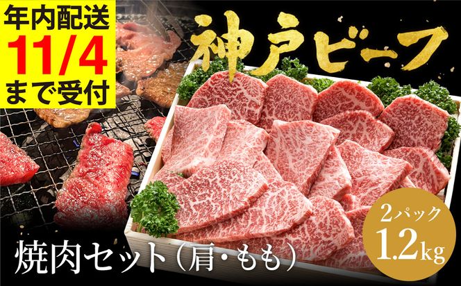 yɌLsz_ˋ ēZbg  ēp   v600g×2P (TYY2-2) item1362-56-2yAncƁzy11/4 󒍕܂ŔNz