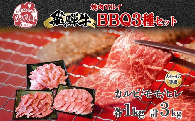 焼肉マルイ 飛騨牛BBQセット 約3kg  セット カルビ ヒレ肉 モモ肉 お肉 肉 お家で簡単 本格 国産 国産牛 牛 牛肉 和牛 秘伝のたれ タレ付き 焼くだけ簡単 お取り寄せグルメ 送料無料 岐阜県 安八町