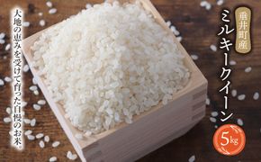 AO-10c 岐阜県産ミルキークイーン5kg