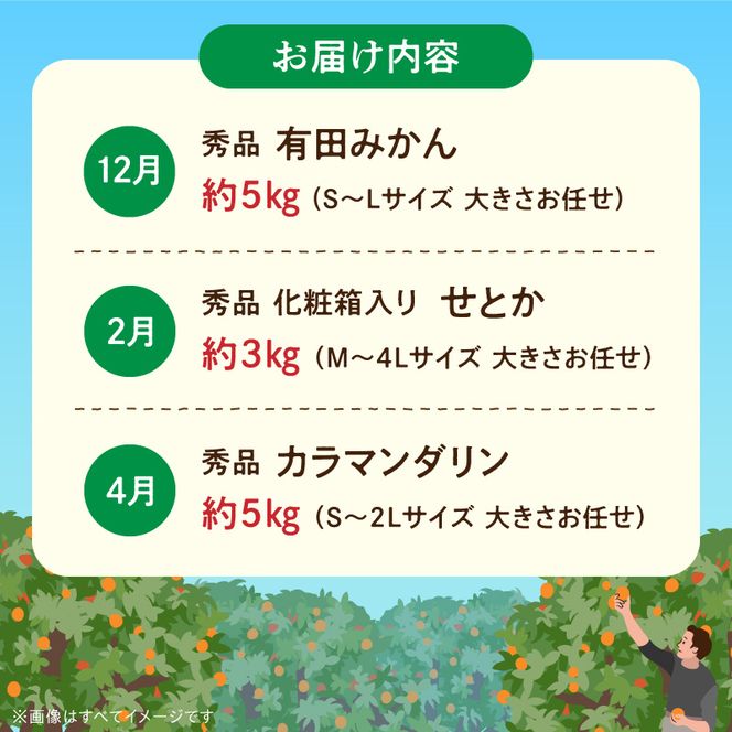 北野農園の人気の柑橘定期便（秀品）【全3回】_DZ60-T02