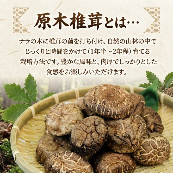 先行予約 しいたけ 原木 椎茸 200g (100g×2) ★2026年4月~発送予定★ 香信 こうしん 干し椎茸 原木椎茸 しいたけ原木 シイタケ しいたけ 椎茸 乾燥 siitake きのこ 茸 特選 椎茸 野菜 原木 出汁 ダシ 和食 煮物 おでん 小分け 個包装 味噌汁 ごはん 夕飯 おかず サラダ パスタ 三陸 岩手県 国産 大船渡
