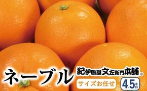  ネーブル 4.5kg サイズおまかせ / ネーブル 蜜柑 みかん 柑橘 オレンジ 果物 フルーツ 紀伊国屋文左衛門本舗 ※2027年1月中旬～2月上旬頃に順次発送予定(お届け日指定不可)  【kmtb028-r-4d5A】