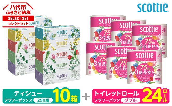 【スコッティ】 組み合わせ ティシュー フラワーボックス 250組 10箱 トイレットロール ダブル フラワーパック 3倍長持ち 24ロール ティッシュ トイレットペーパー 日用品 防災備蓄 ストック 備蓄 新生活 防災 消耗品 生活用品 日用消耗品 箱ティッシュ