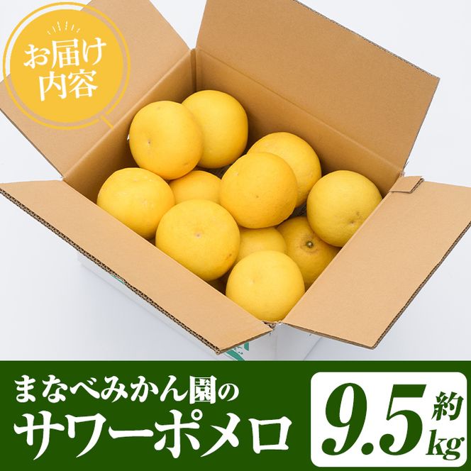 ＜先行予約受付中！2027年2月下旬以降順次発送予定＞まなべみかん園のサワーポメロ (約9.5kg) 国産 鹿児島県産 阿久根市産 柑橘類 みかん ミカン 蜜柑 果物 フルーツ サワーポメロ 期間限定 数量限定 デザート 【有限会社まなべみかん園】akn034-07