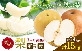 梨 定期便 秀品 3ヶ月連続 梨の定期便 選べる 内容量 計5.4kg 計9kg 計15kg 日本フルーツ株式会社《8月上旬-10月末頃出荷》熊本県 長洲町 なし ナシ 豊水梨 秋月梨 新高梨 果物 フルーツ---sn_cnfzntei_29500_mini_aug3---