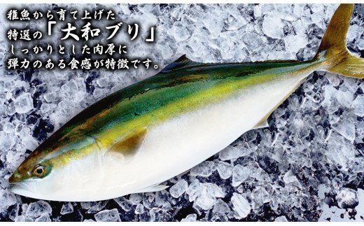 【大和ブリ】半身（フィレ）約1.0～1.2kg×2枚（スキンレスロイン仕様あら付き）　N072-YD0191_1