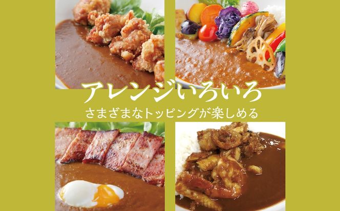 アレンジして楽しむジョイアルスパイスカレー（180g10袋） 118-005