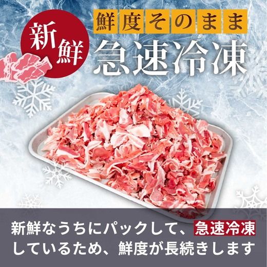 国産豚肉 小分け 小間 切り落とし4kg 500g8パック 真空 個包装 冷凍 新鮮 精肉店 肉屋 直送 厳選　知多豚 レシピ 炒め おかず