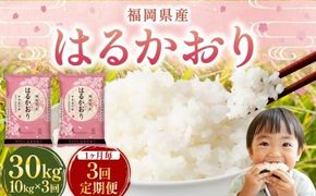 【1ヶ月毎3回定期便】 はるかおり 10kg 計30kg ／ 米 コメ お米 ライス ご飯 ごはん 飯 食品 精米 定期便 常温 福岡県 香春町