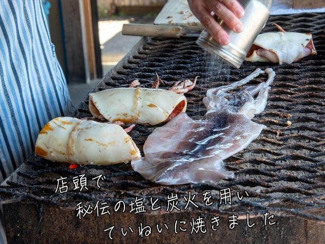 わさおの店の炭火焼きいか 5パック 200g以上×5枚 魚貝類 イカ 加工食品 