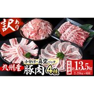 【定期便 全6回】【数量限定】小分け・真空パック!九州産豚肉4種セット(計13.5kg・2.25kg×6回) t009-008