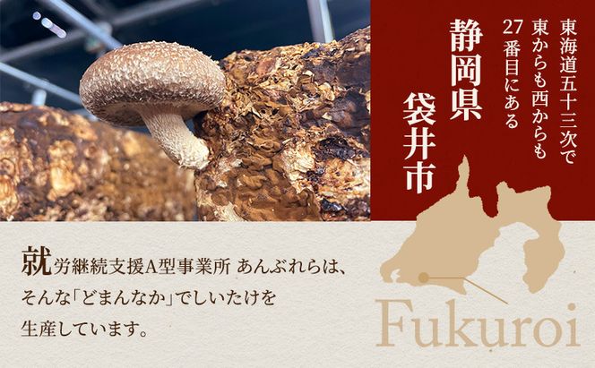 【遠州どまんなかしいたけ】 乾燥しいたけセット (乾燥しいたけ　丸小 30g1袋 , スライス 小35g2袋)　干し椎茸 産地直送 国産 料理 素材 出汁 日本料理 就労支援 福祉 静岡 袋井